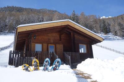 Ferienhütte Premstlahof