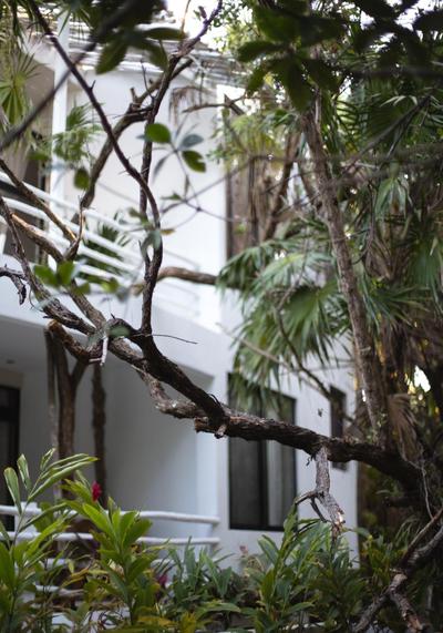 Casa Ambar Hotel & Boutique - Party Side Tulum