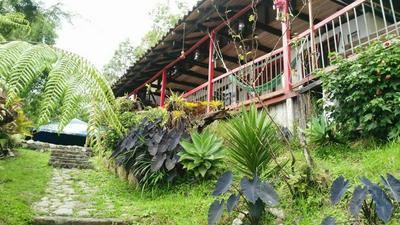 Atardecer De Salento