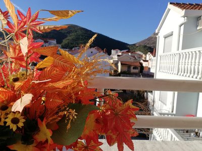 Apartment White Lily of Budva