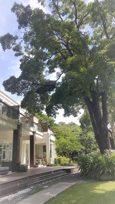 Around The Tree Manor