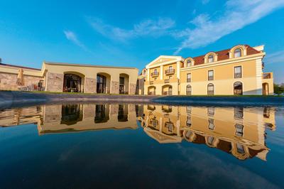 Domeniile Martinutzi - Hotel Cardinal