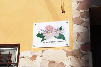 Cataleya