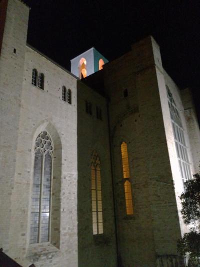 Il Nido del Canterino