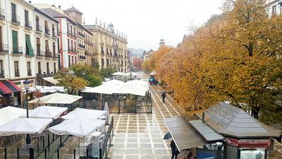 Luxury Suites Plaza Nueva