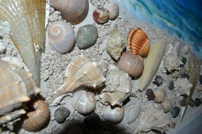 Seashell Art Decor Studio & Private Garage