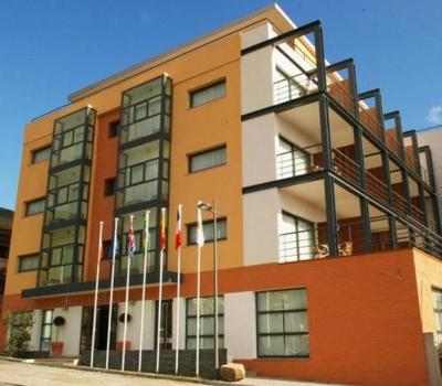 Hotel Sao Pedro - Arouca