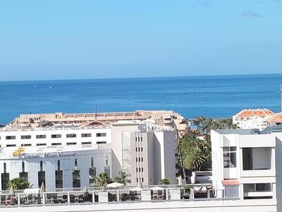 playa honda luxury