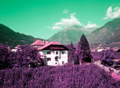Plonerhof