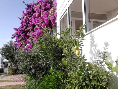 Apartment Sanja