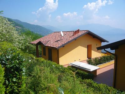 Il Vigneto