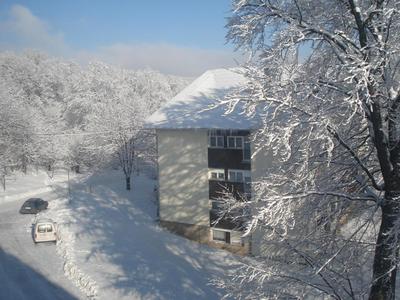 Sweet home