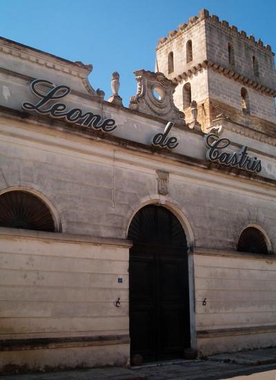 Casa Vienna