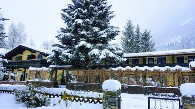 Alpen-Appartementhof