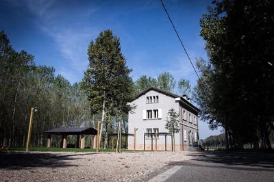 B&B Bortolino