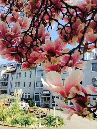 Astoria Easy Hotel Essen