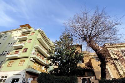 I Pini di Roma - Rooms & Suites