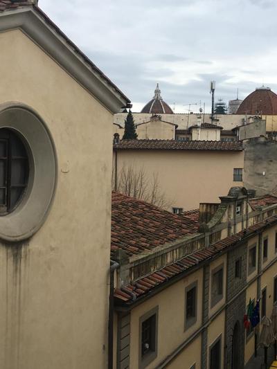 Il nido di Sofia