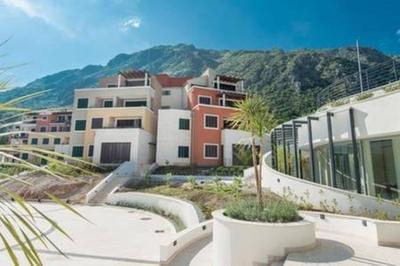 Lavender Bay Apartment