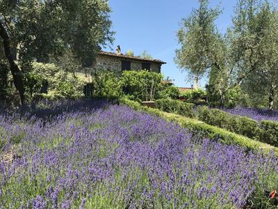 Macennere by Salogi Villas