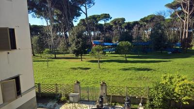 Casa della pineta