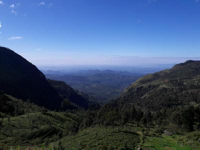 Ella Banana Rest Inn