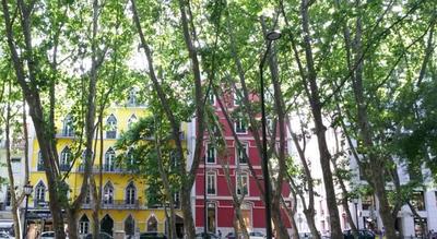 My Home Lisbon