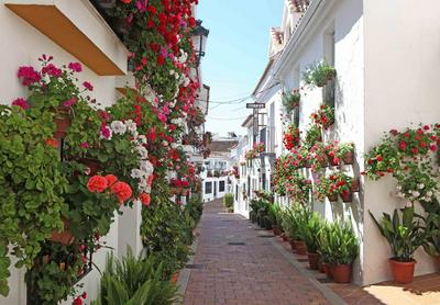 I AM La Posada Hotel and Apartment