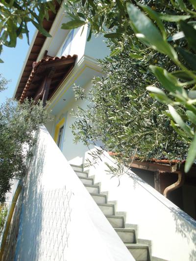 Villa Di Costa