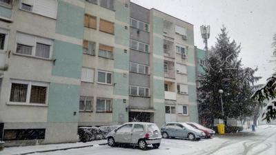 Orhideja Osijek