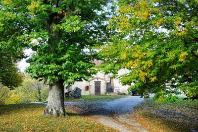 Agriturismo Bio I Rondinelli