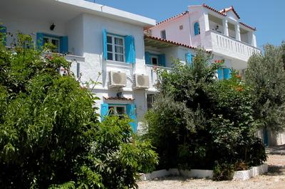 Pelagia