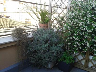 Chiara Rooms
