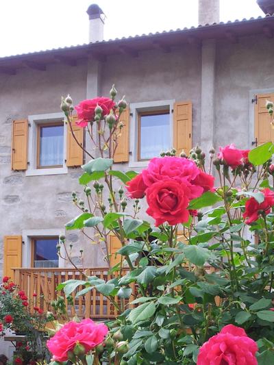Ferienhaus Irene, Fiave