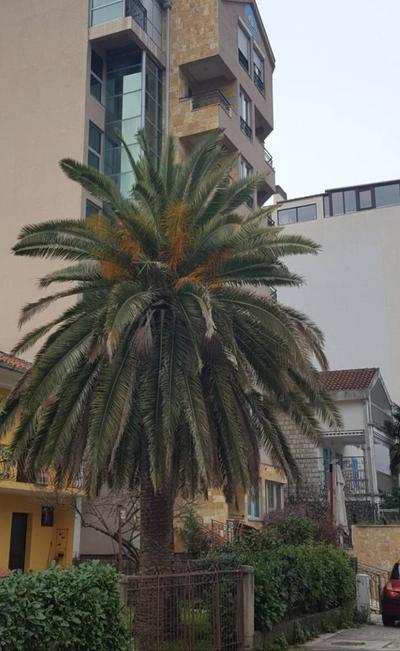 Apartman Centar Lux