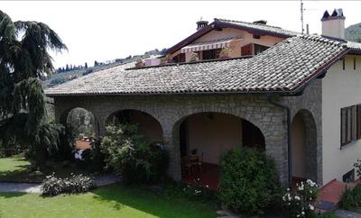 La collina degli olivi