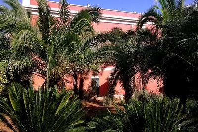 B&B Ippocastano