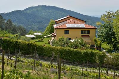 Il Laghello Wood House