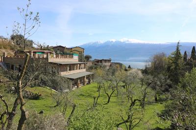 La Cascata Negli Ulivi