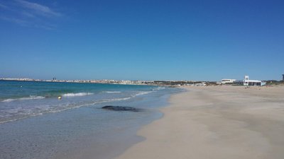 Case Vacanze Carpe Diem Gallipoli