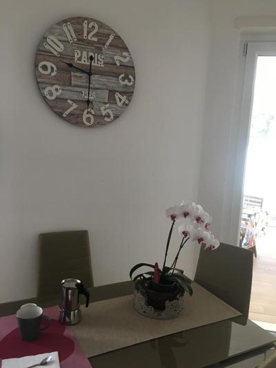 The shabby house
