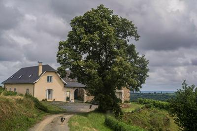 Pesaulhé