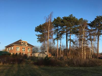Ferienzimmer Suhrer Seeblick