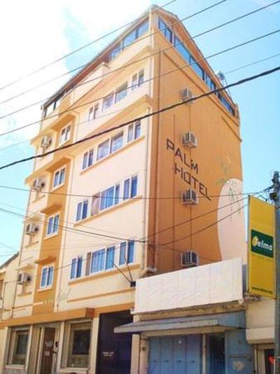 Palm Hotel