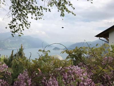 Landscapesilvia Acqua
