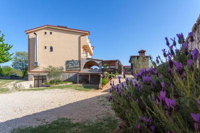 Bed & Breakfast Tonivale