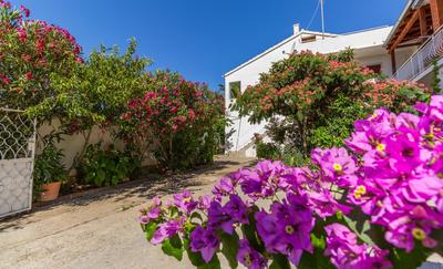 Apartments Ana