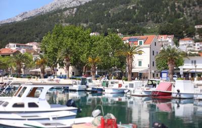 Bed & Breakfast Palac -Free Parking-