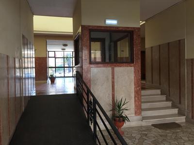 Murena Apartments & rooms