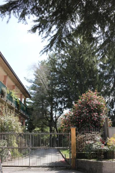 Paradeisos Residence Sas